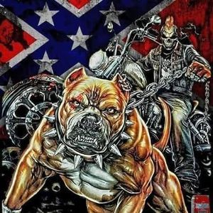 Meet your Posher, Misty